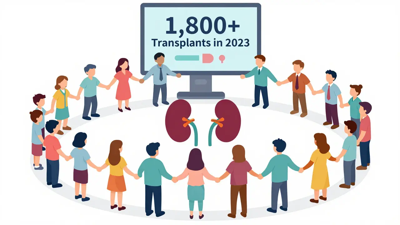 Circle of people connected by kidney donation pairs in a matching network